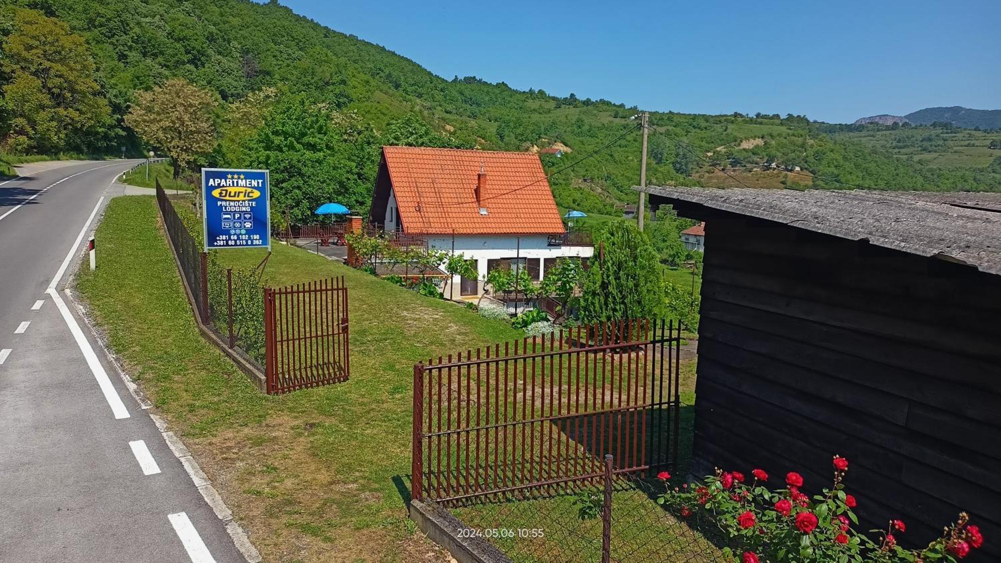 Apartman Duric Donji Milanovac Exterior photo