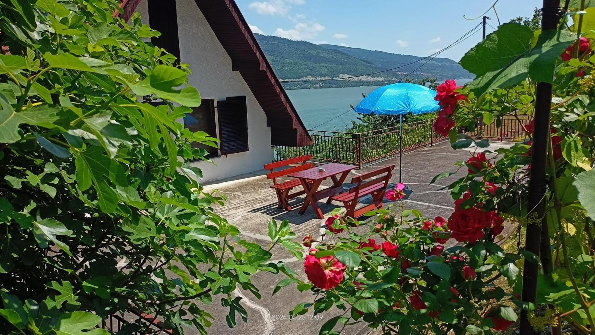 Apartman Duric Donji Milanovac Exterior photo